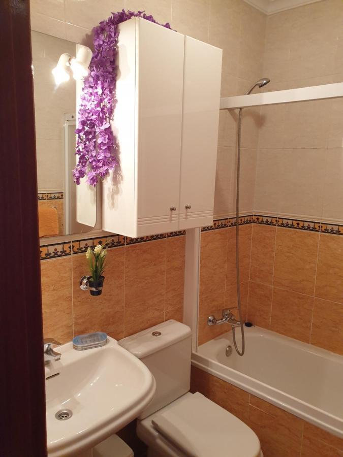 Apartamentos Dana Sol Madrid Exteriér fotografie